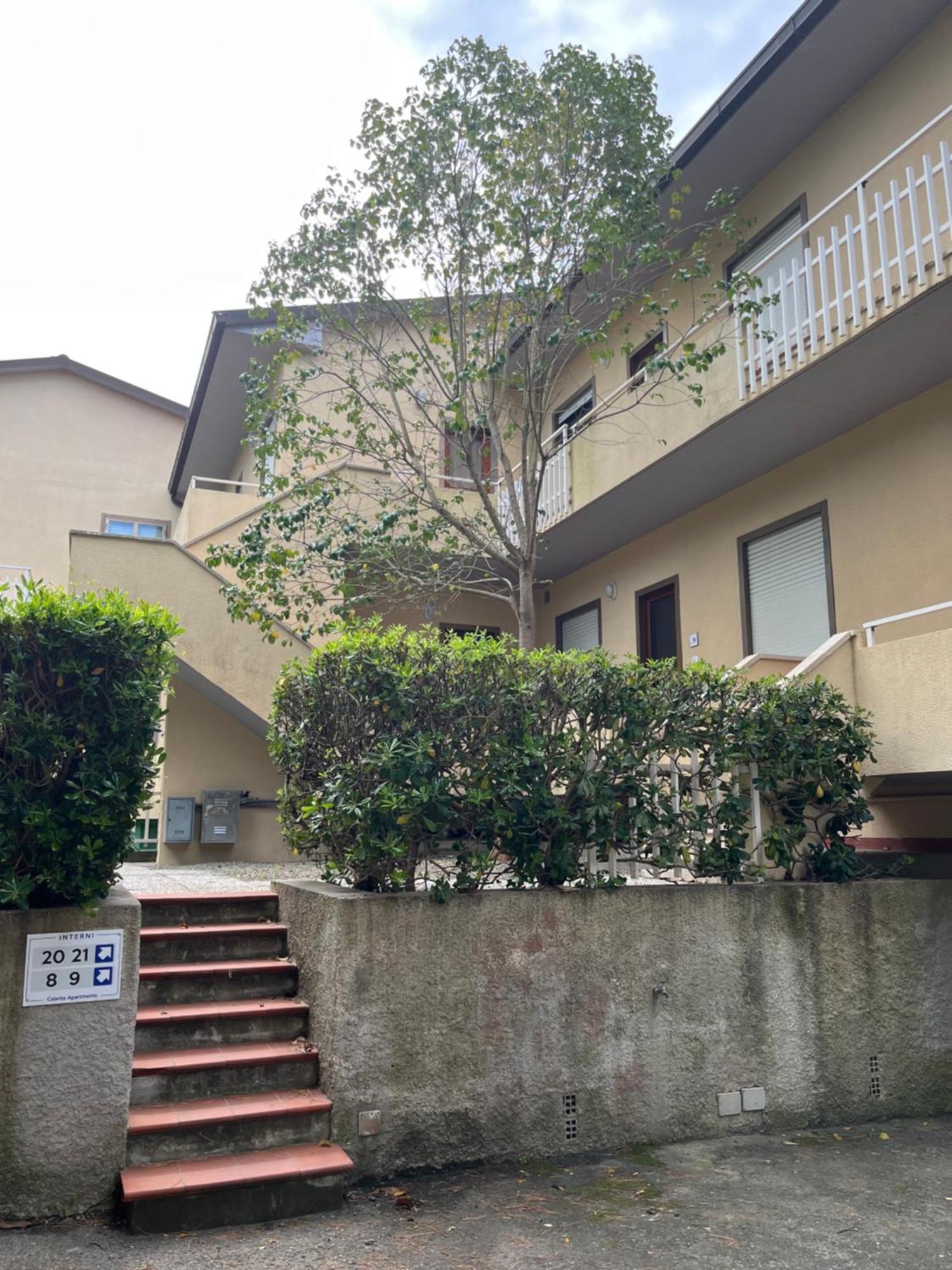 Caletta Apartments Castiglioncello Eksteriør billede